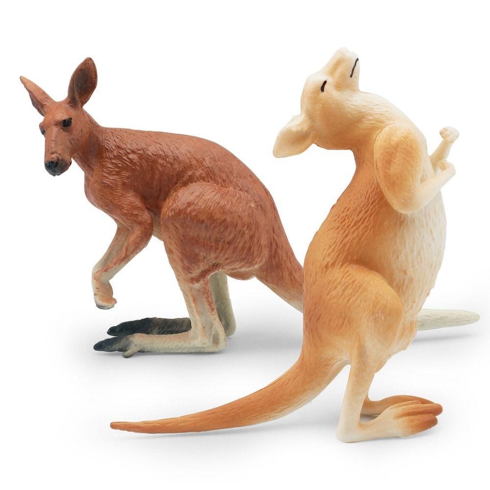 Kangaroo Model